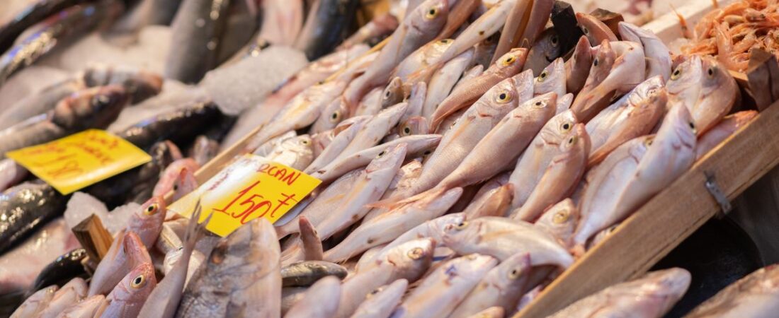 IB8 SGD CQ9 Fishing Games Guide – Play & Win in Singapore City Centre