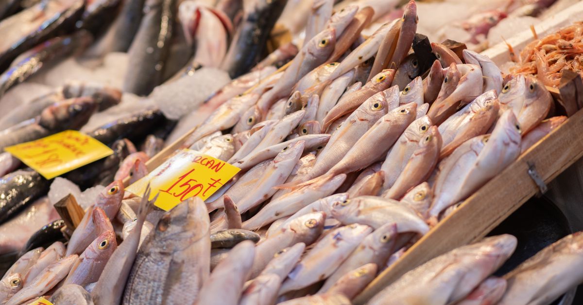 IB8 SGD CQ9 Fishing Games Guide – Play & Win in Singapore City Centre