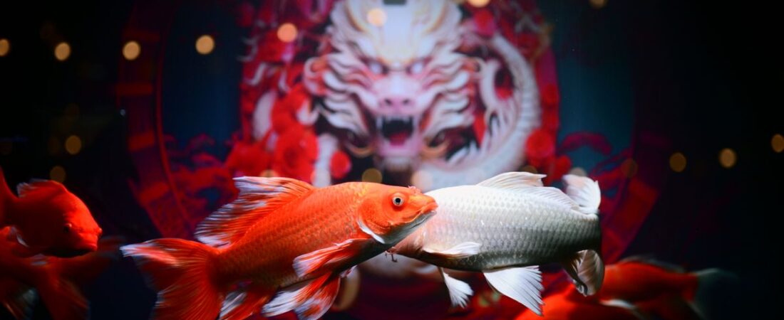 IB8 SGD Dragon Gaming: Top Fishing Game Experience in Singapore City Centre