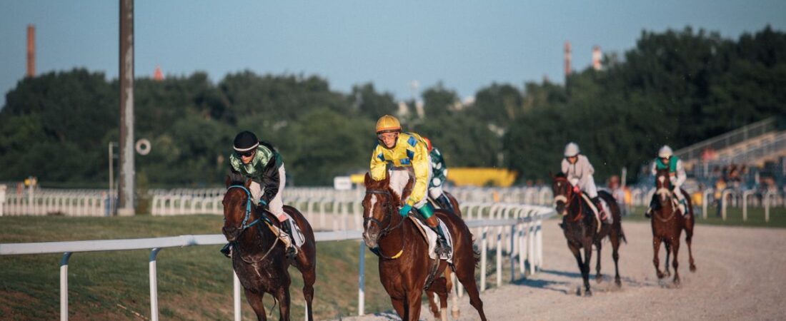 IB8 SGD RCB988 Horse Racing Guide: Betting Tips, Odds & City Centre Insights