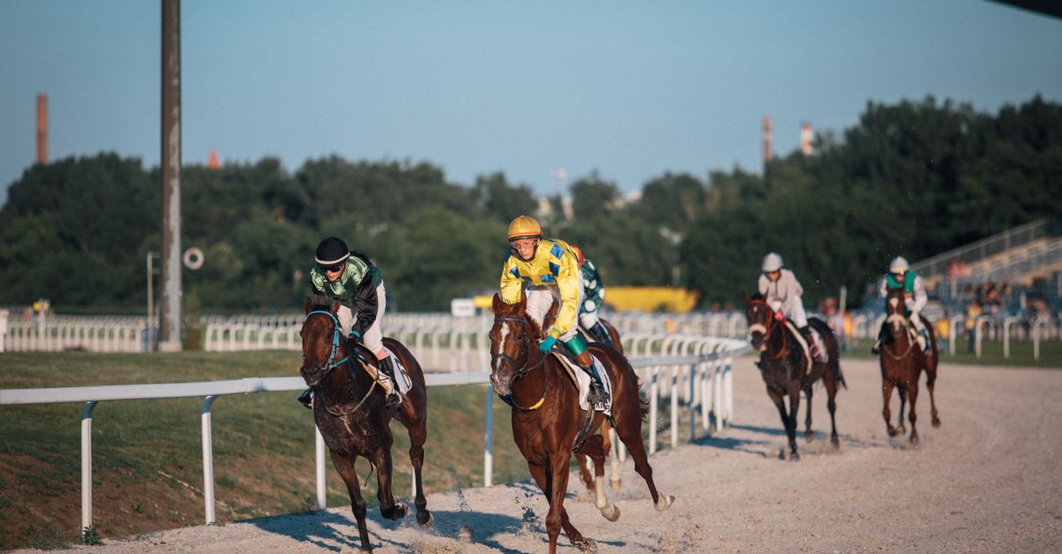 IB8 SGD RCB988 Horse Racing Guide: Betting Tips, Odds & City Centre Insights